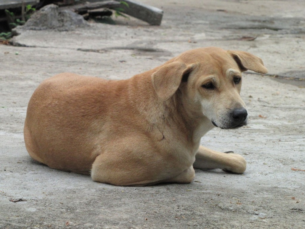 IMG_8181p_1200x900.jpg IMG_8181p_1200x900.jpg