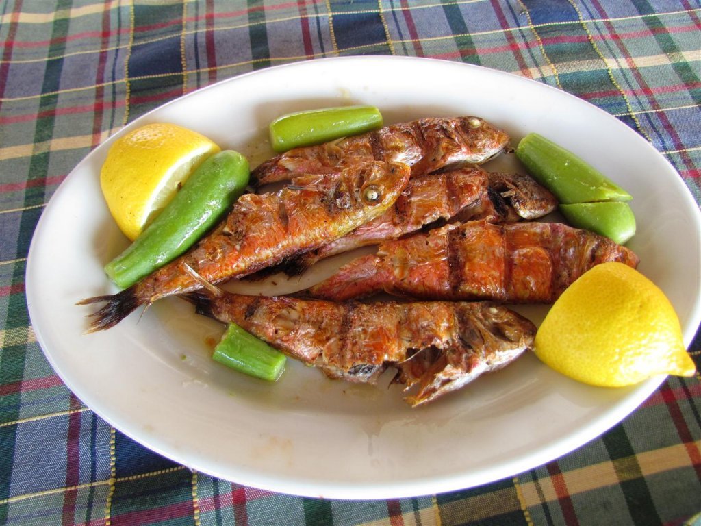 IMG_8183 (Large).JPG