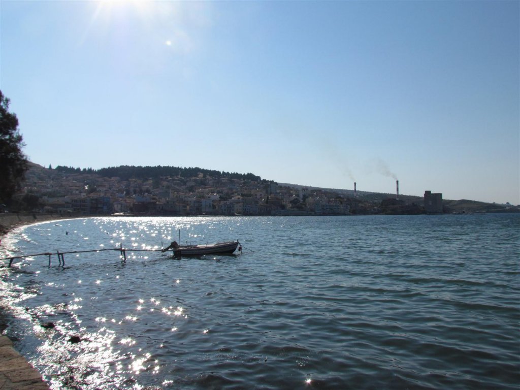 IMG_8187 (Large).JPG