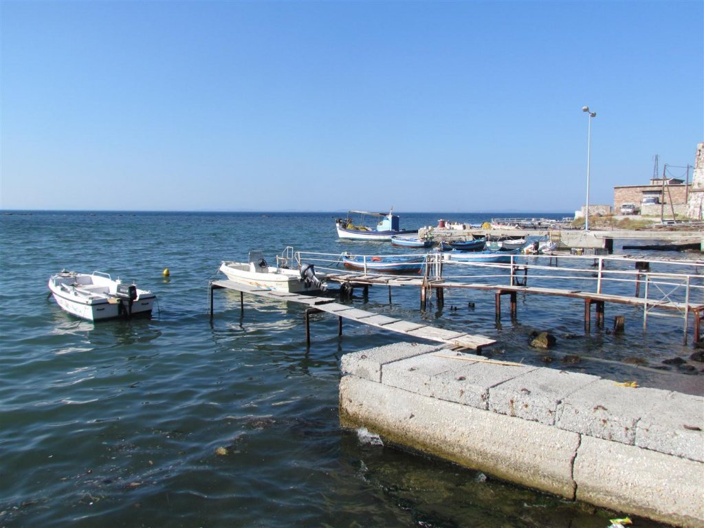 IMG_8188 (Large).JPG