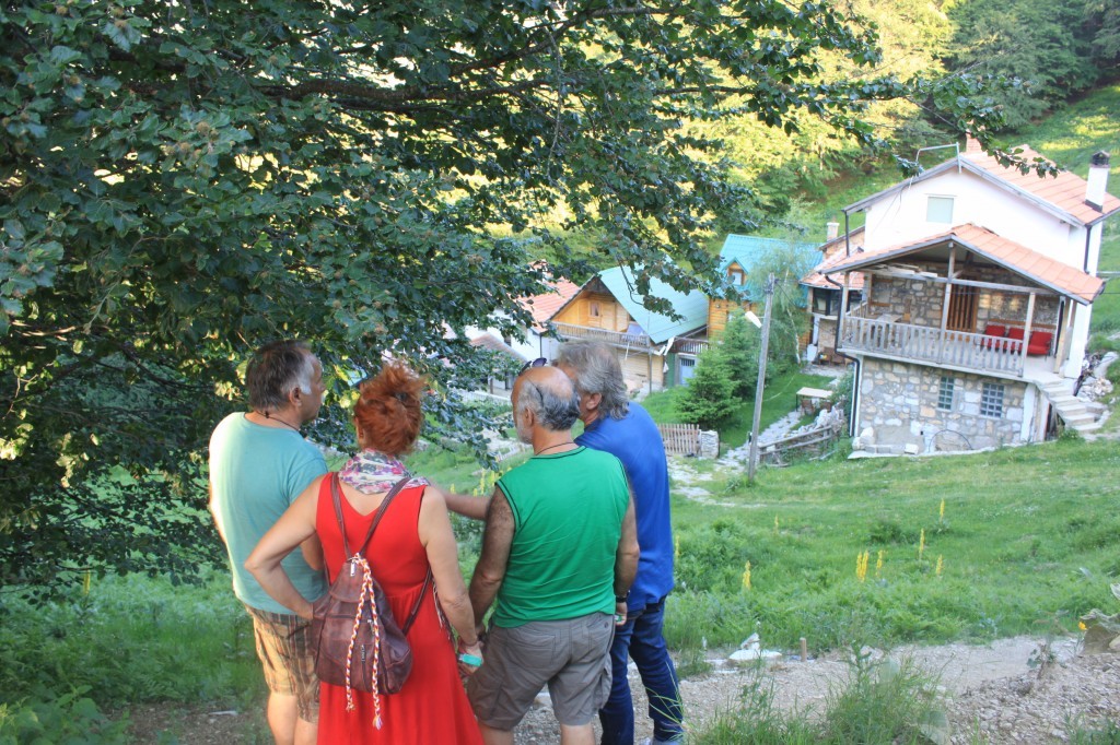 IMG_8768.JPG
