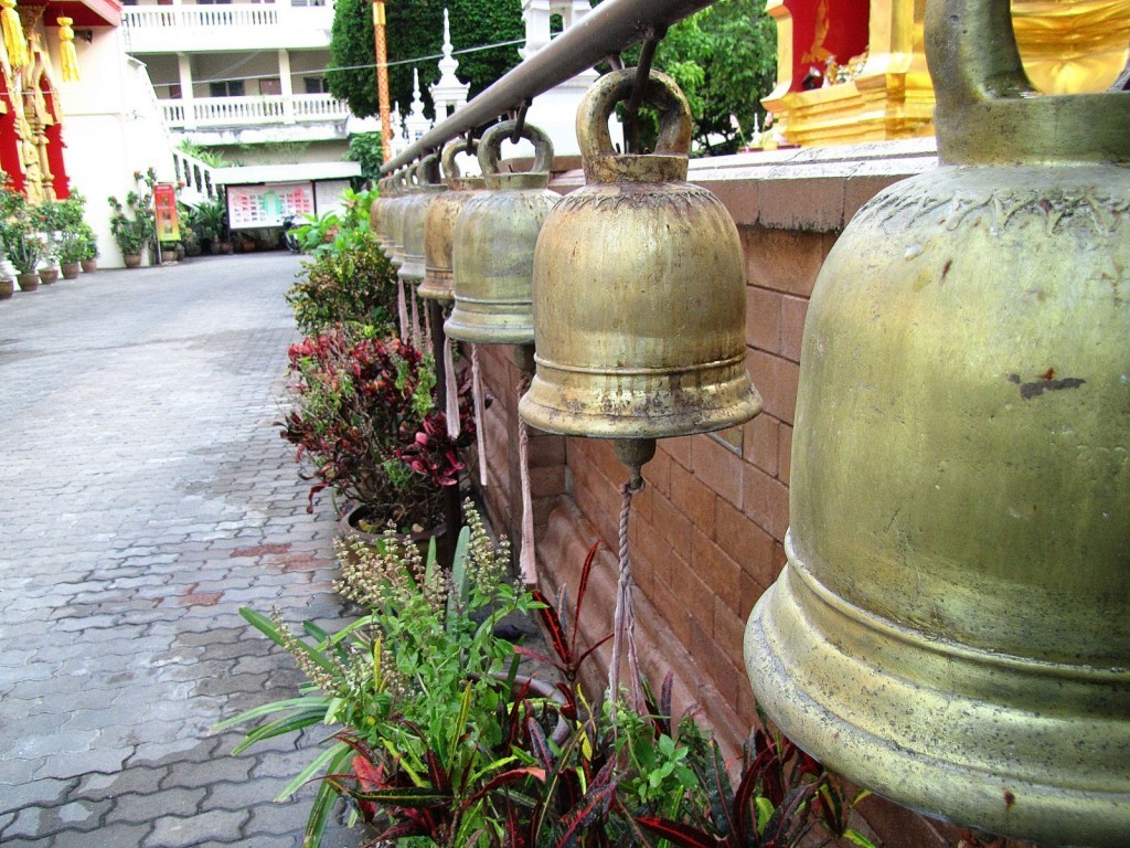 IMG_8816p_1600x1200.jpg IMG_8816p_1600x1200.jpg