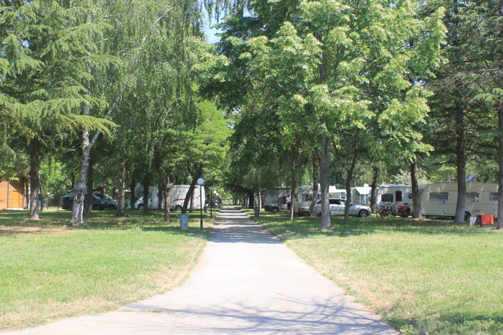 IMG_8866.JPG