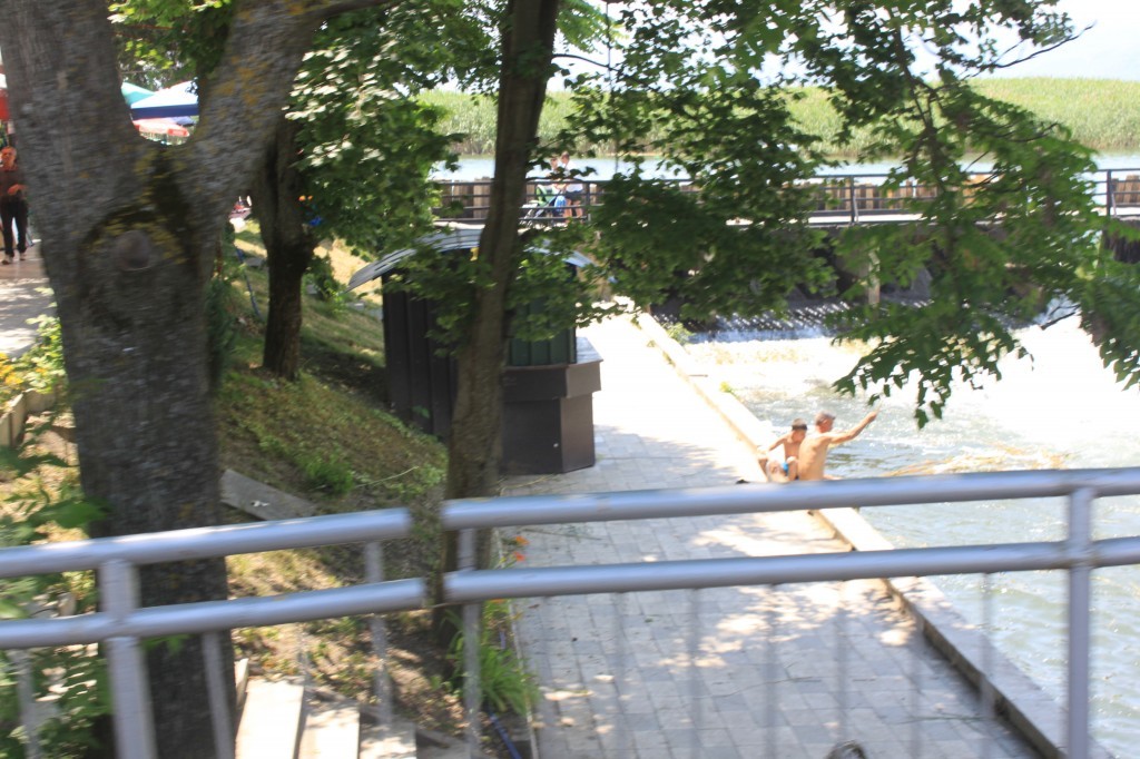IMG_8877.JPG