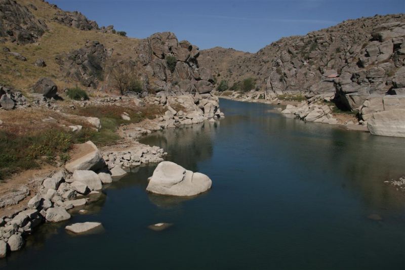 IMG_8892 (Medium).jpg