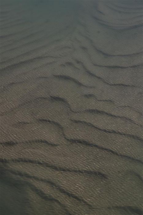 IMG_8902 (Medium).jpg