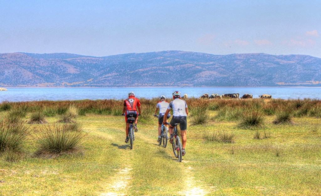 IMG_8907_tonemapped (1024x627).jpg