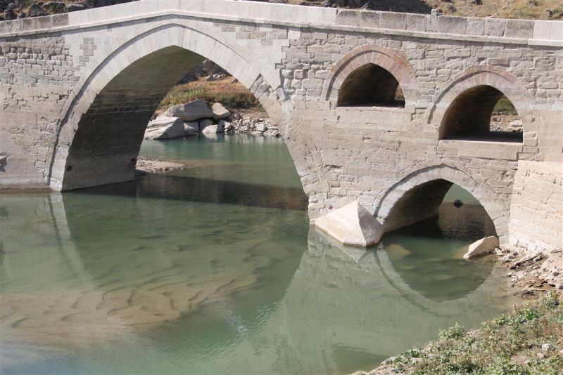 IMG_8924 (Medium).jpg