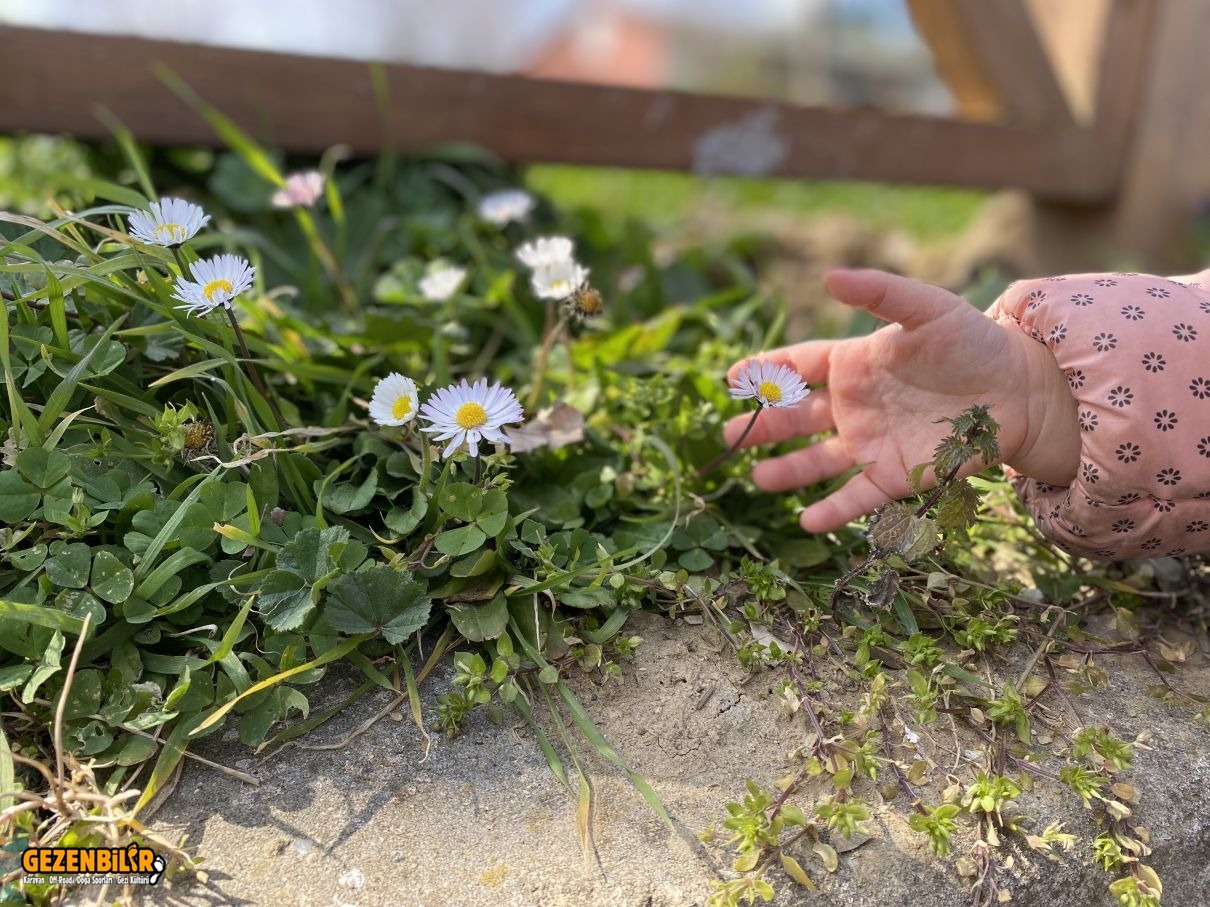 IMG_8931.JPG IMG_8931.JPG