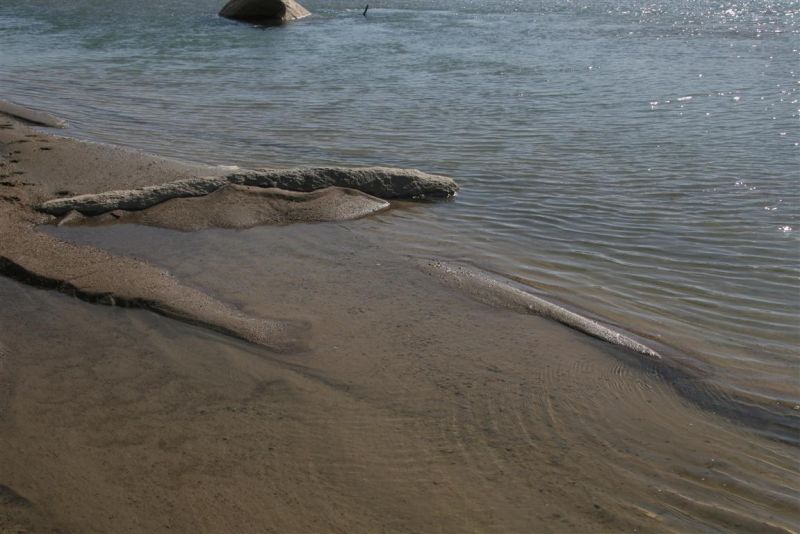 IMG_8971 (Medium).jpg