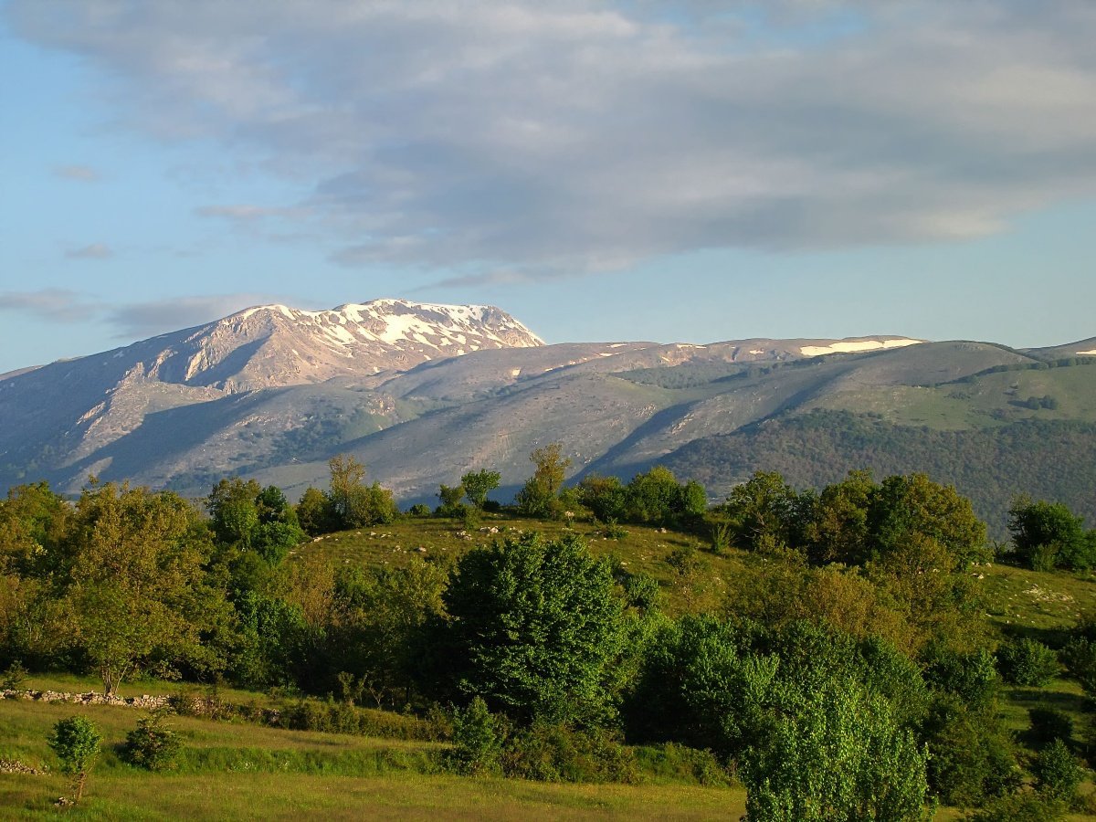 IMG_9399p.jpg