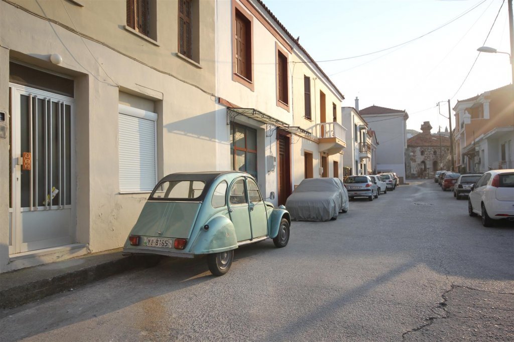 IMG_9994 (Large).JPG