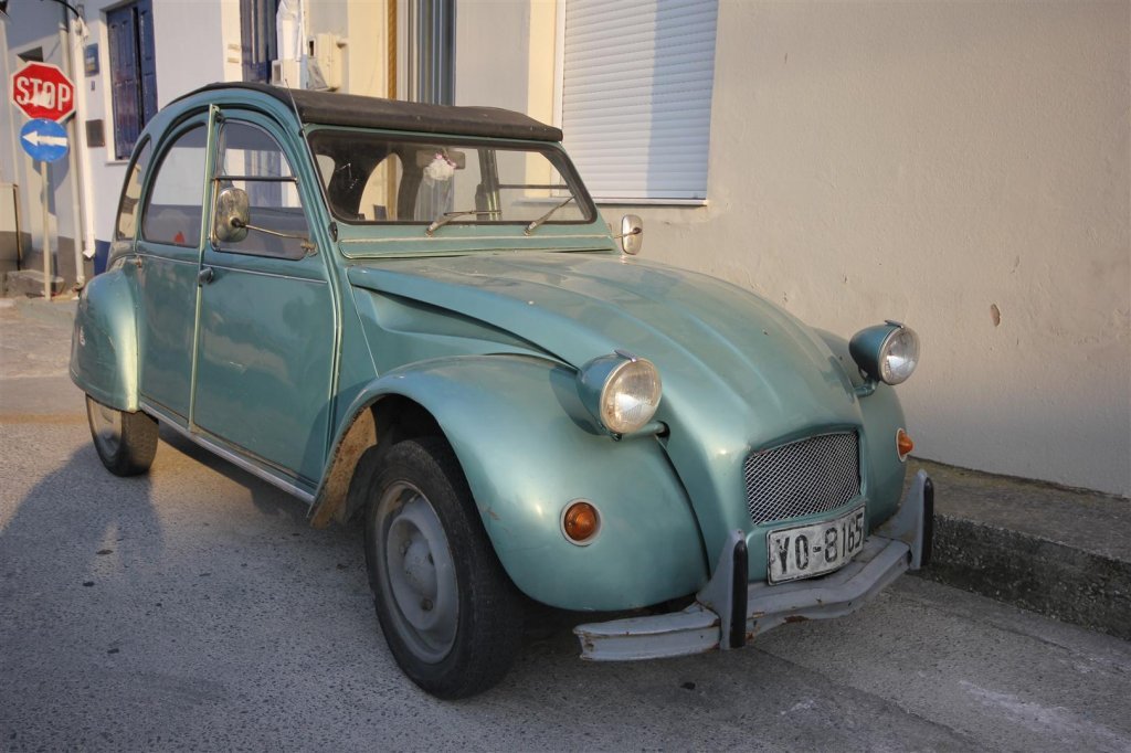 IMG_9997 (Large).JPG