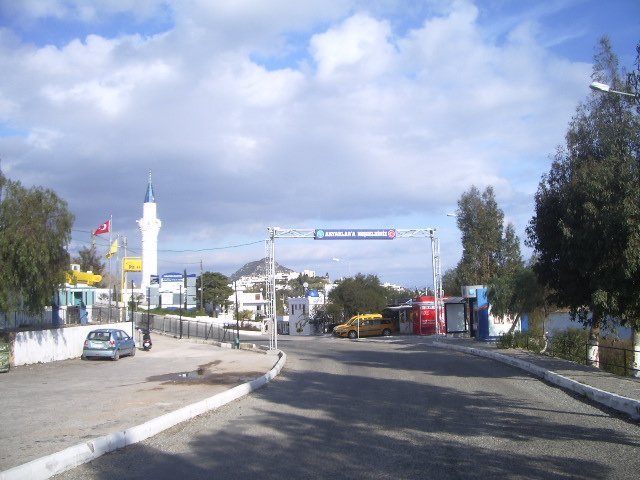 IMGP4648.JPG IMGP4648.JPG