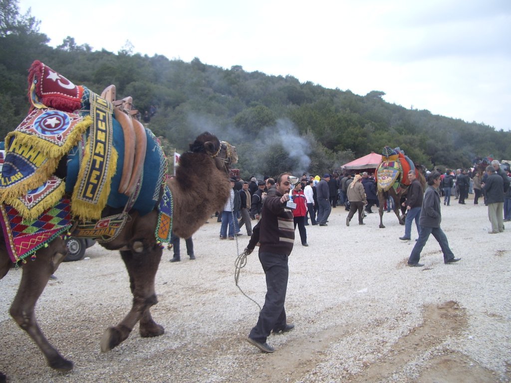 IMGP4708.JPG IMGP4708.JPG