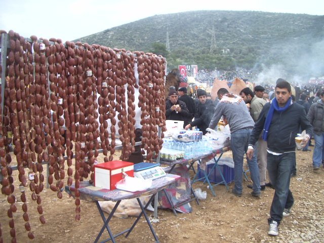 IMGP4714.JPG IMGP4714.JPG