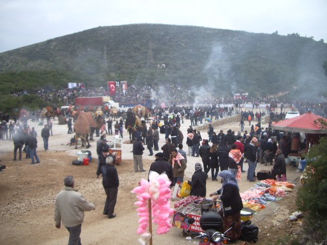 IMGP4715.JPG IMGP4715.JPG