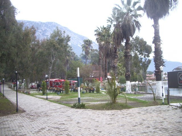 IMGP4790.JPG IMGP4790.JPG