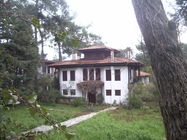 IMGP4793.JPG IMGP4793.JPG