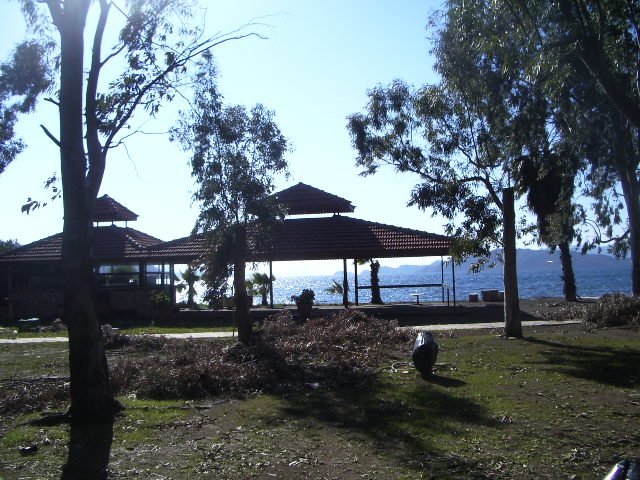 IMGP4839.JPG IMGP4839.JPG