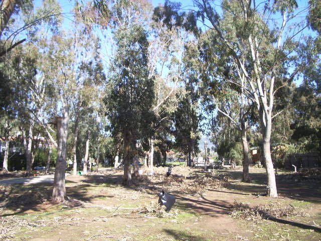 IMGP4840.JPG IMGP4840.JPG