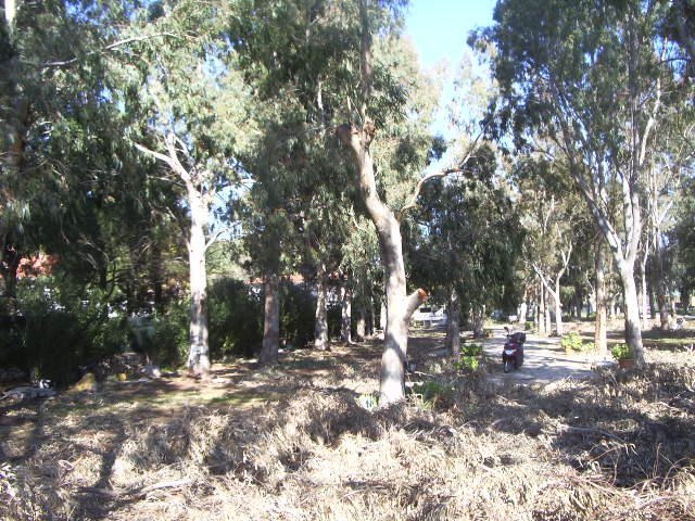 IMGP4843.JPG IMGP4843.JPG