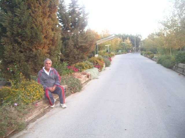 IMGP5889.JPG IMGP5889.JPG