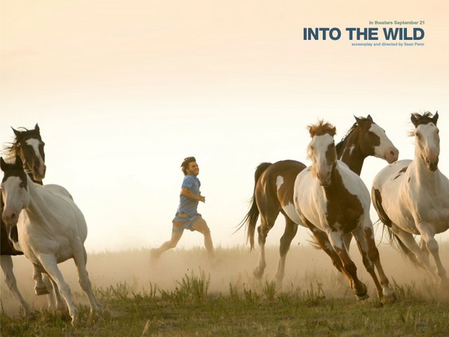 Into the wild pferd 3