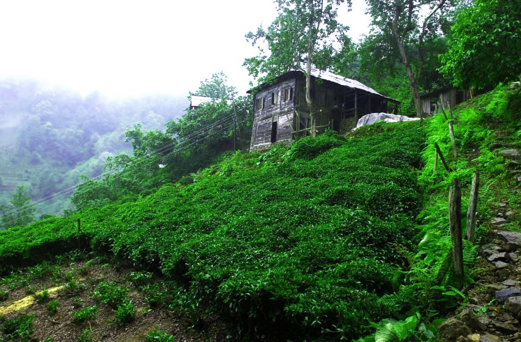 izmir hareketli karadeniz turu.jpg