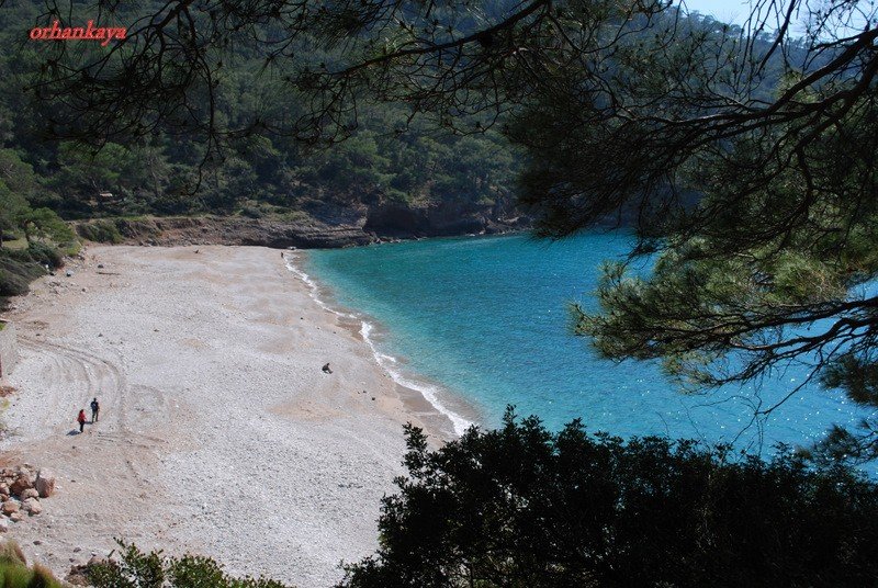 KABAK-KELEBEKLER VADÃƒÂƒÃ‚Â„ÃƒÂ‚Ã‚Â°SÃƒÂƒÃ‚Â„ÃƒÂ‚Ã‚Â° 160.JPG