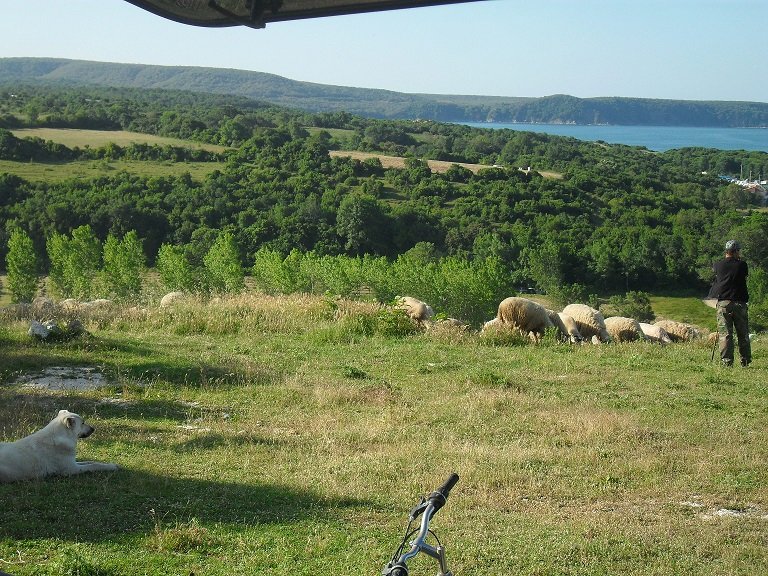 KÃƒÂƒÃ‚Â„ÃƒÂ‚Ã‚Â±yÃƒÂƒÃ‚Â„ÃƒÂ‚Ã‚Â±kÃƒÂƒÃ‚ÂƒÃƒÂ‚Ã‚Â¶y (3).JPG