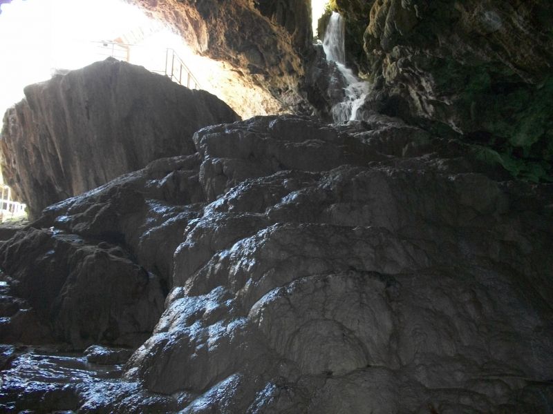 KAKLIK GÃƒÂƒÃ‚ÂƒÃƒÂ‚Ã‚ÂœNEY 023.jpg