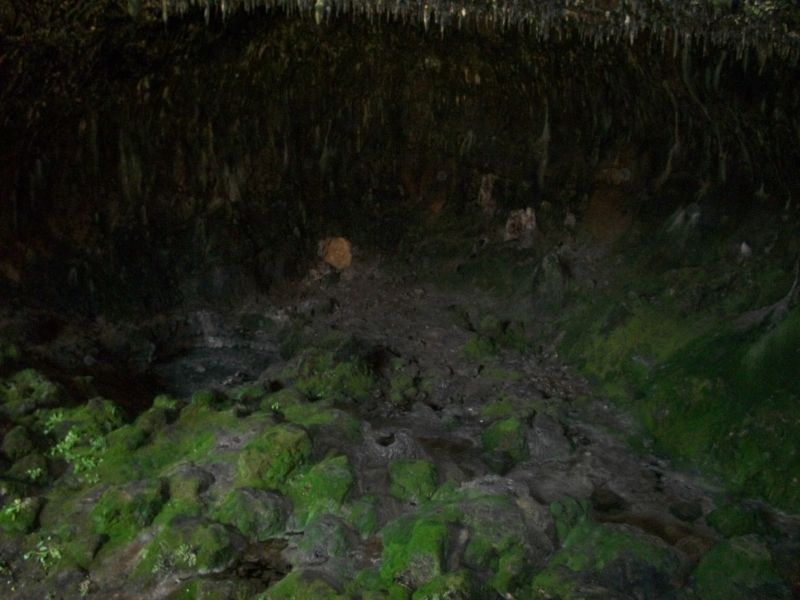 KAKLIK GÃƒÂƒÃ‚ÂƒÃƒÂ‚Ã‚ÂœNEY 025.jpg