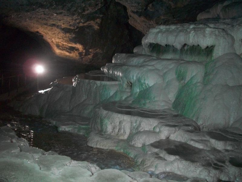 KAKLIK GÃƒÂƒÃ‚ÂƒÃƒÂ‚Ã‚ÂœNEY 028.jpg