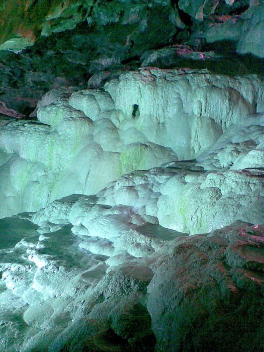 KAKLIK GÃƒÂƒÃ‚ÂƒÃƒÂ‚Ã‚ÂœNEY 040.jpg