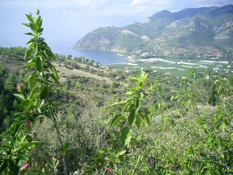 KALEDRAN YAKACIK373.jpg