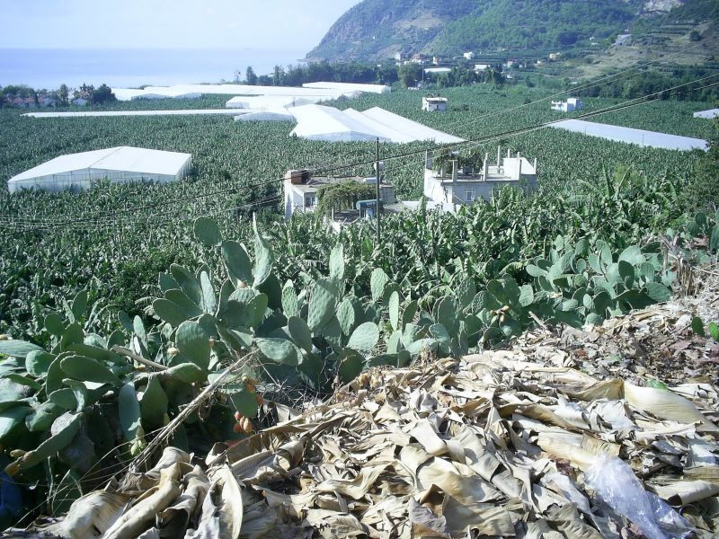 KALEDRAN YAKACIK377.jpg