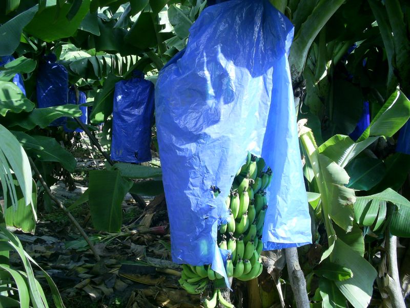 KALEDRAN YAKACIK385.jpg