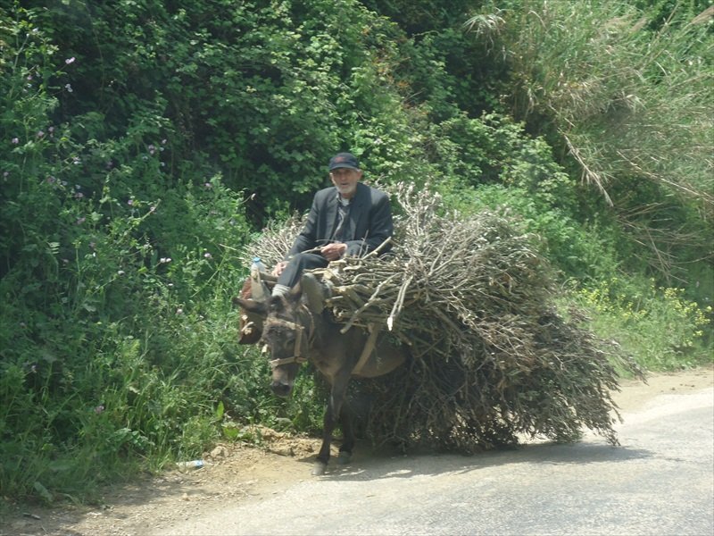 KapÃƒÂƒÃ‚Â„ÃƒÂ‚Ã‚Â±daÃƒÂƒÃ‚Â„ÃƒÂ‚Ã‚ÂŸdan.jpg