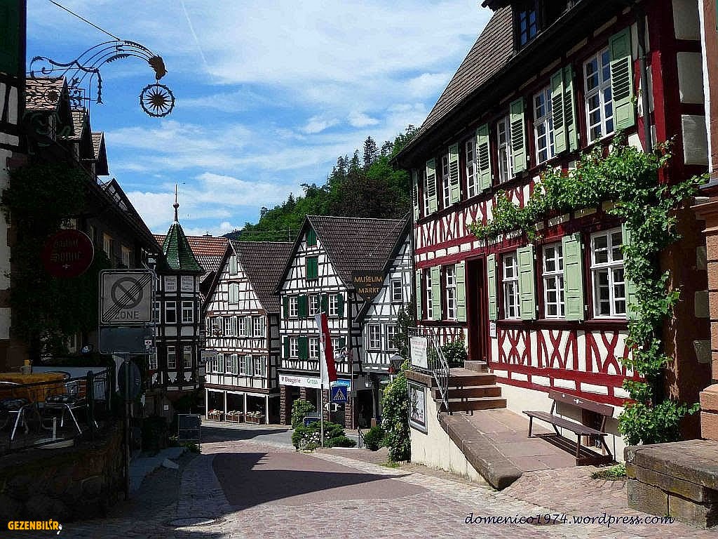 KARA ORMAN (14).jpeg