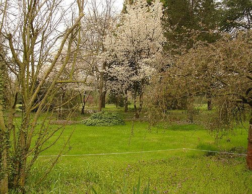 karaca arboretum2.jpg