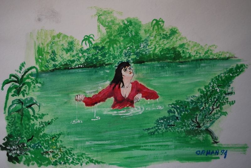 KARADENÃƒÂƒÃ‚Â„ÃƒÂ‚Ã‚Â°Z 2 042.jpg