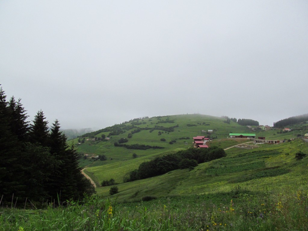 karadeniz 594.jpg