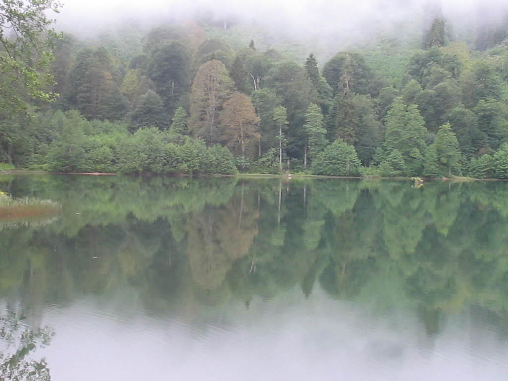 karagÃƒÂƒÃ‚ÂƒÃƒÂ‚Ã‚Â¶l 3.jpg