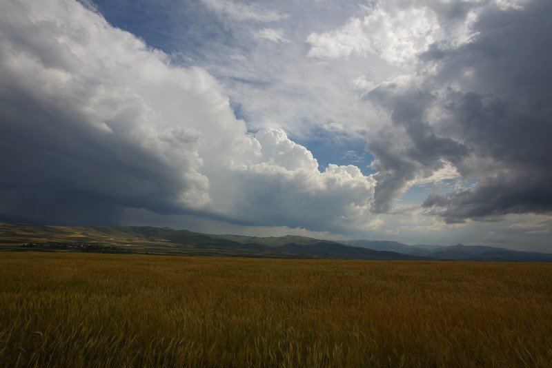 Kars Erzurum Yolundan