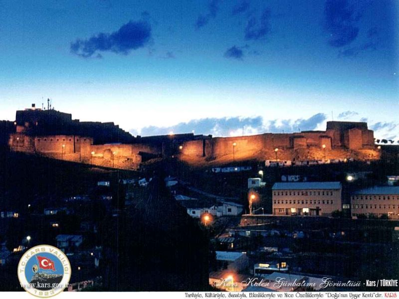kars_kalesi gece.jpg