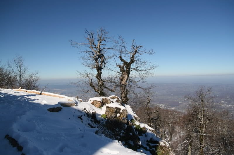 kartepe04.jpg