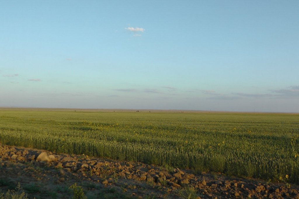 kazakistan yollarÃƒÂƒÃ‚Â„ÃƒÂ‚Ã‚Â±16.jpg