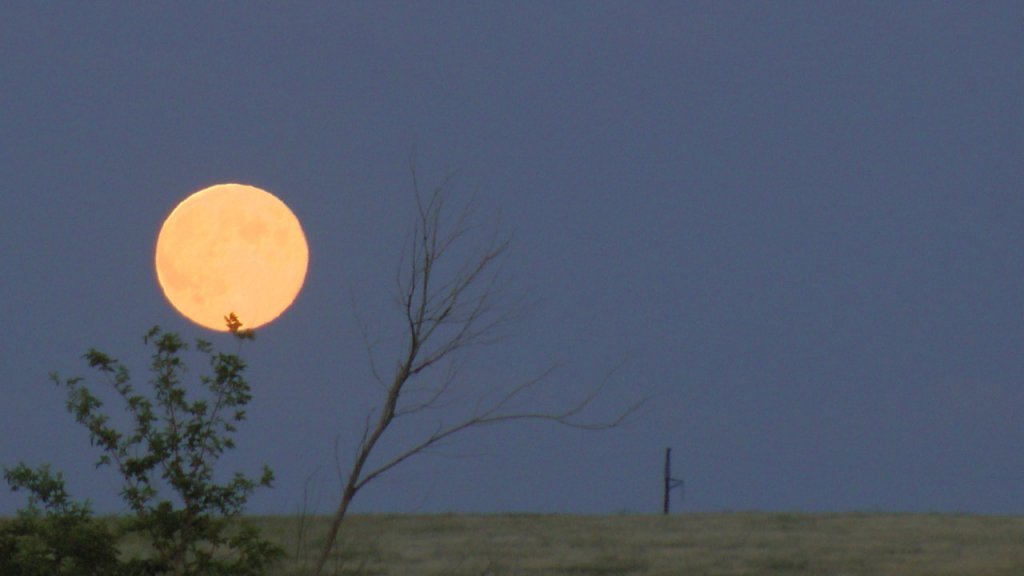 kazakistan yollarÃƒÂƒÃ‚Â„ÃƒÂ‚Ã‚Â±17.jpg