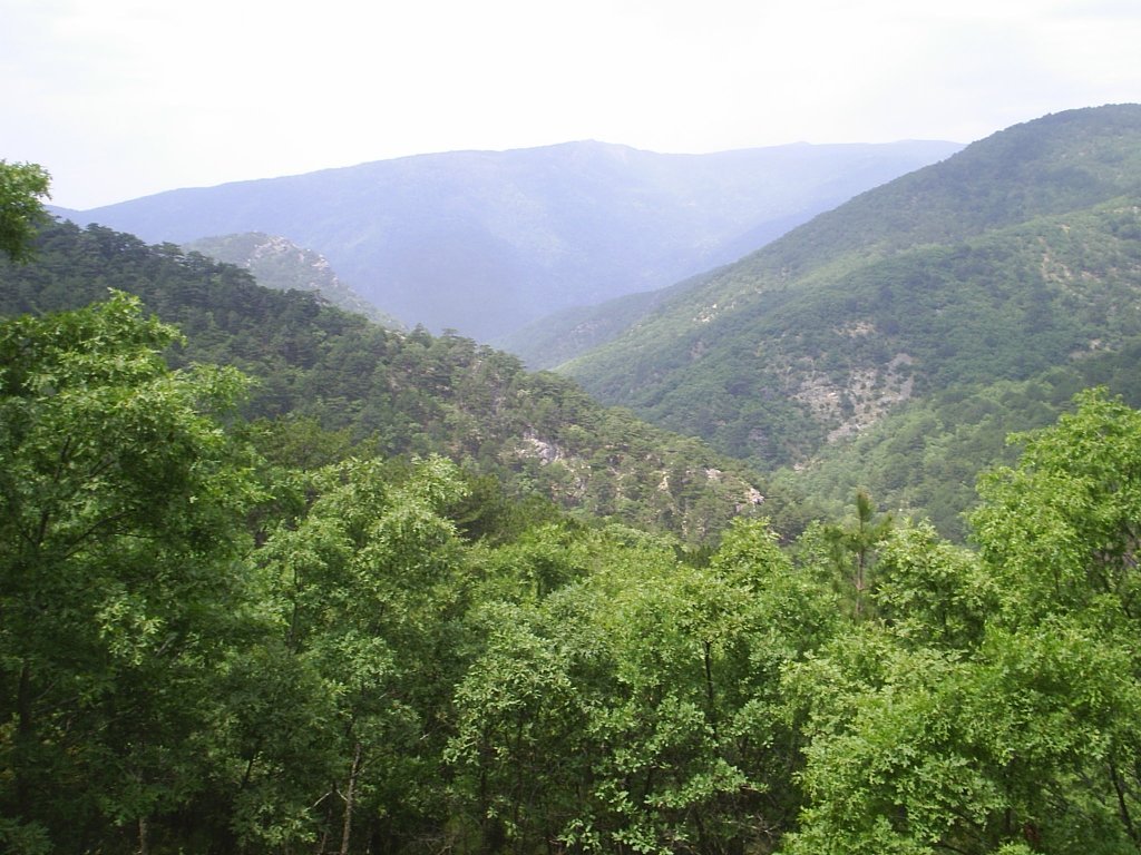 KazdaÃƒÂƒÃ‚Â„ÃƒÂ‚Ã‚ÂŸlarÃƒÂƒÃ‚Â„ÃƒÂ‚Ã‚Â±09 035.jpg